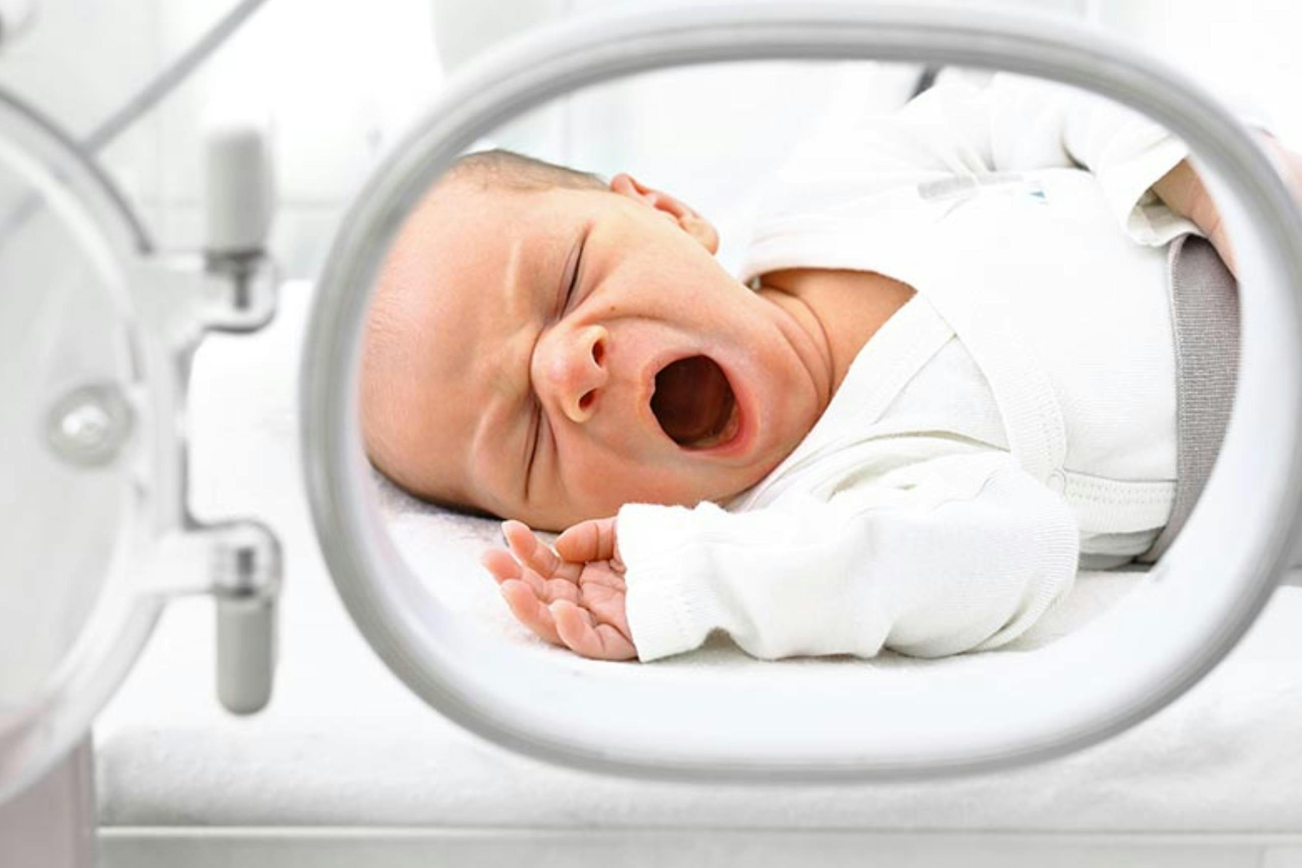 Sebastián Illanes sobre la placenta artificial: “Es permitir que los pulmones se desarrollen en un ambiente acuoso"