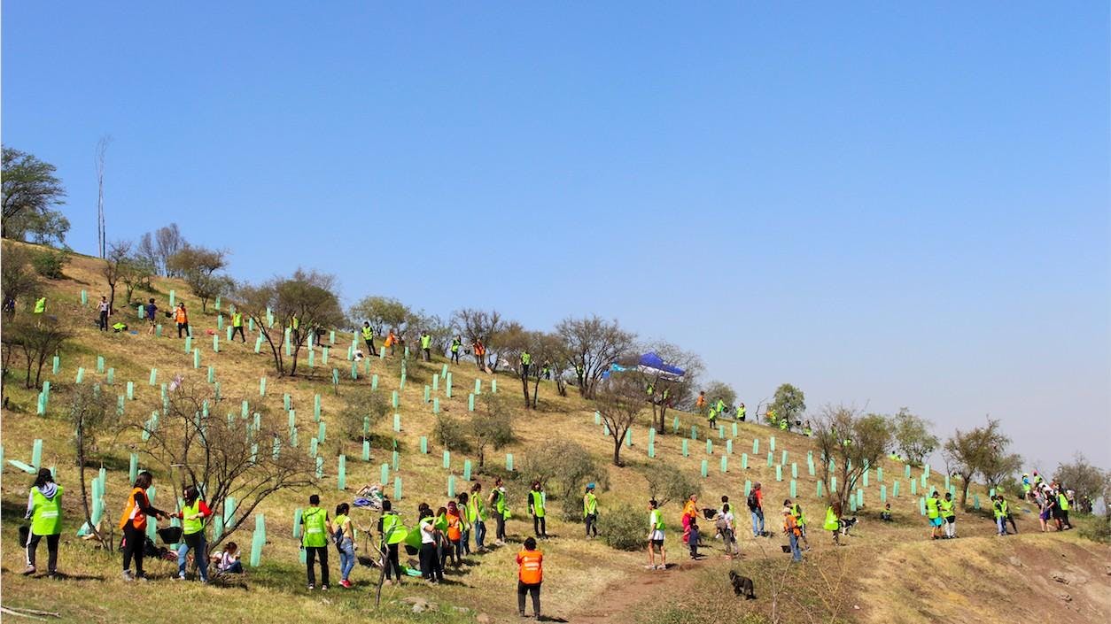 Matías Herceg sobre la reforestación: "En calidad de aire, Santiago ha tenido un avance importante"