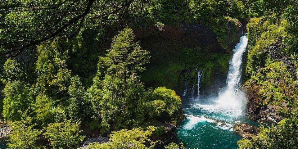 Rodolfo Menichetti, María Rosa Contreras, y Francisco Zapata y la importancia de una conservación activa