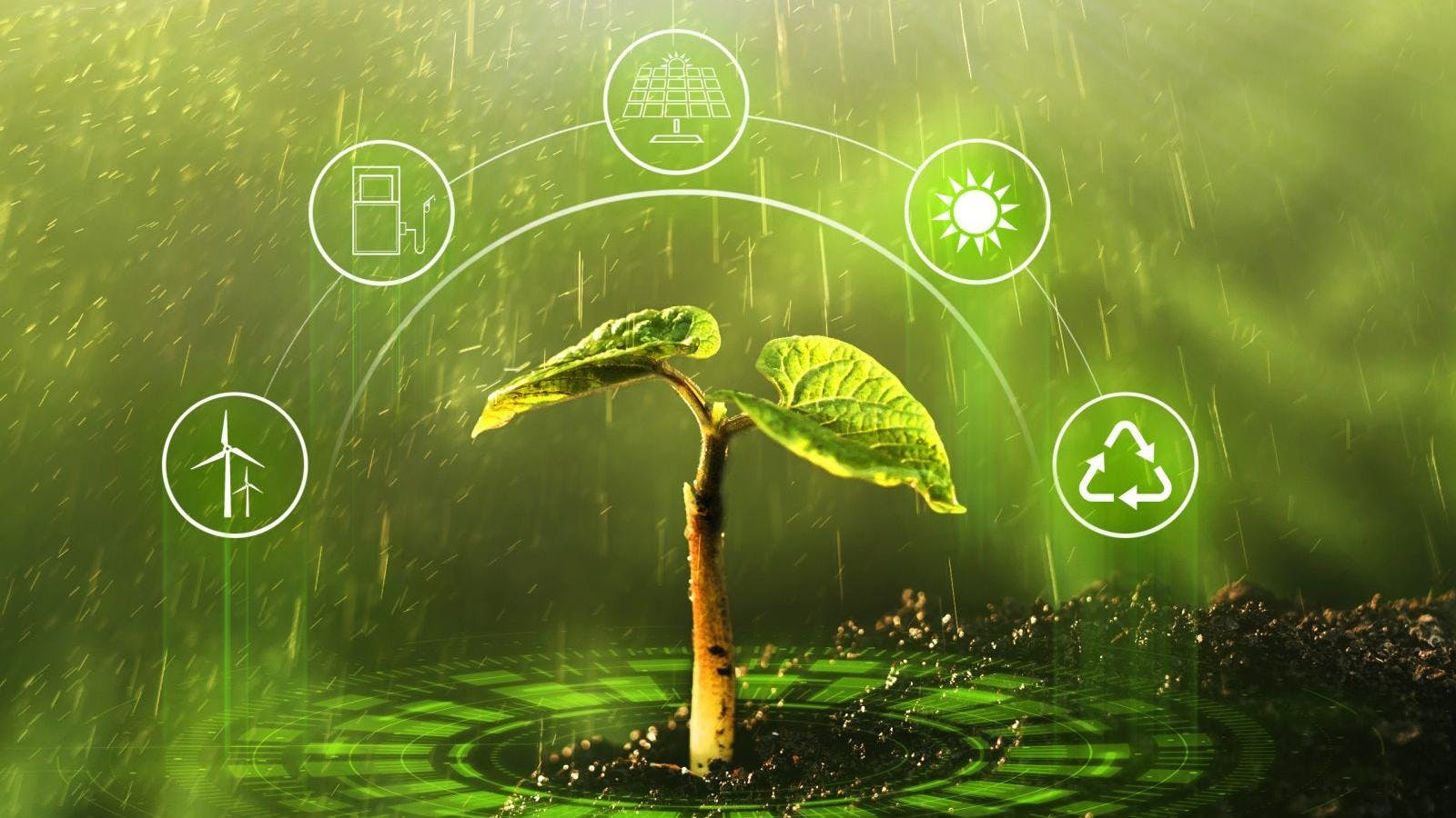 Aníbal Pochart: "La sociedad usa la economía como una manera de dialogar con la naturaleza"