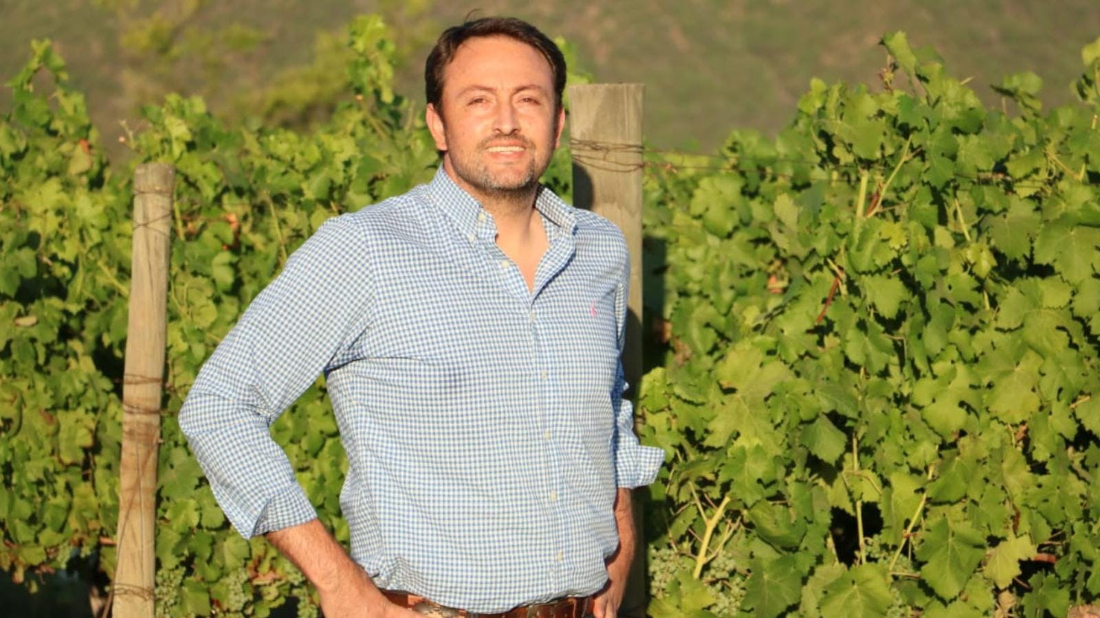 Alcalde Yamil Ethit sobre la Fiesta de la Vendimia en Colchagua: "A las 12 comienza la degustación y las artesanías; a las 20:00 será la apertura y después se presentarán Los Jaivas”