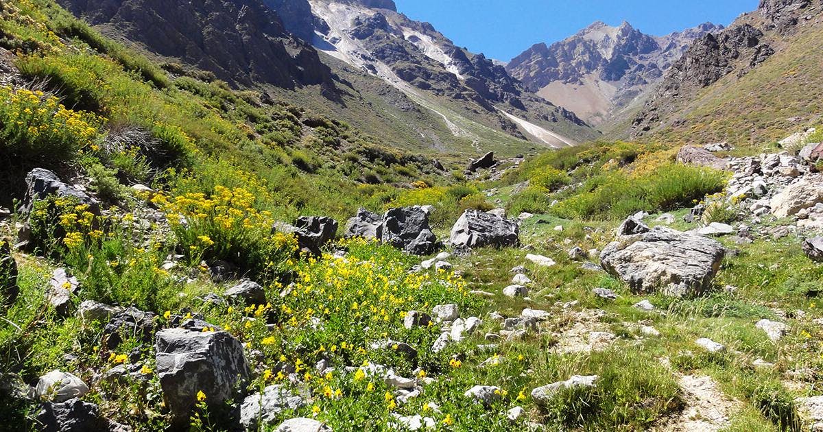 Pilar Valenzuela sobre Tupungato: "Creemos que este sería el área protegida más visitada de Chile, porque está al lado de Santiago"