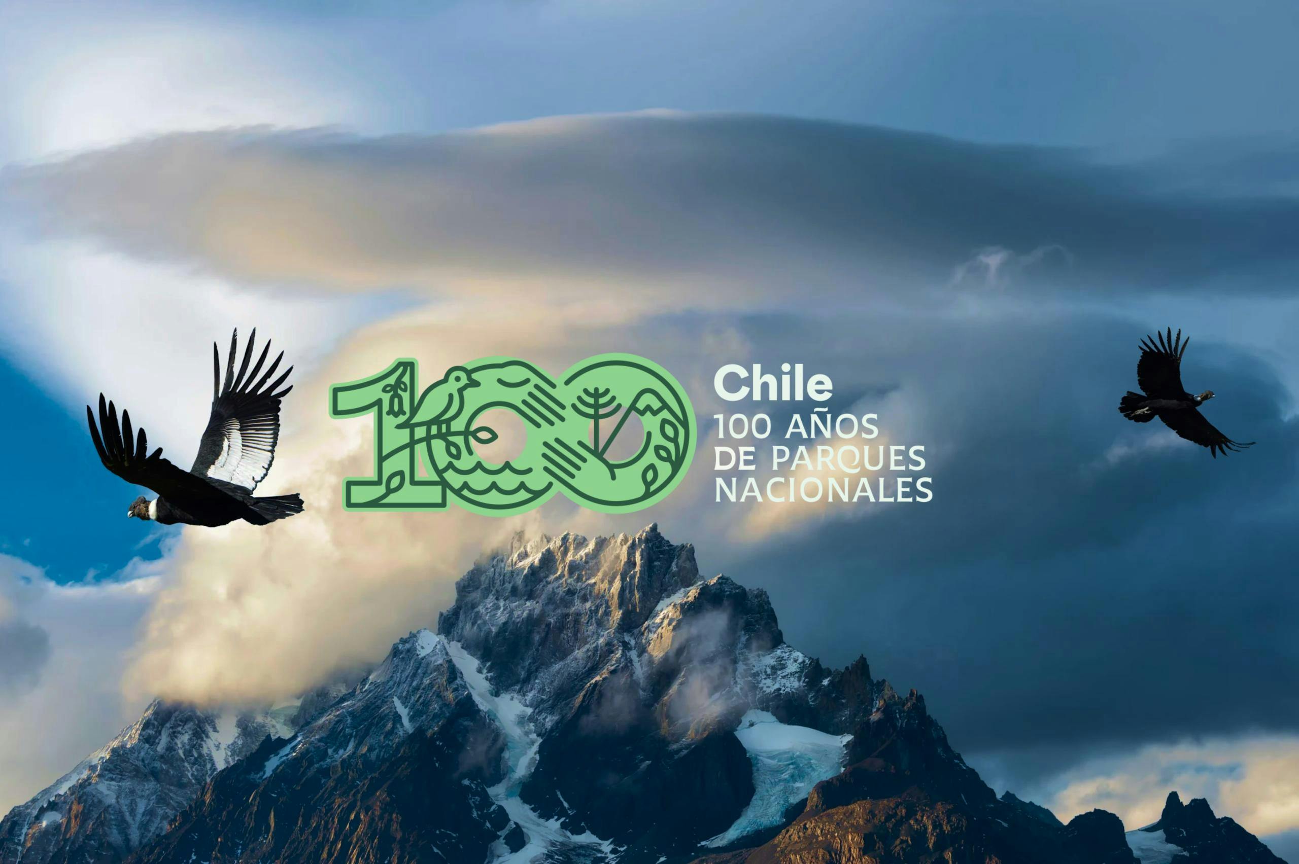 Francisco Solís sobre la campaña 100 años de parques nacionales: "Creímos que era una buena oportunidad para visibilizar y dar a conocer el importante rol que cumplen en distintas dimensiones"