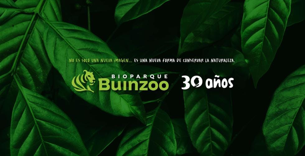Ignacio Idalsoaga sobre el nuevo enfoque del Bioparque Buin Zoo: "Los ecosistemas son más que los animales, son las plantas que en el caso de Chile tenemos muchas endémicas"