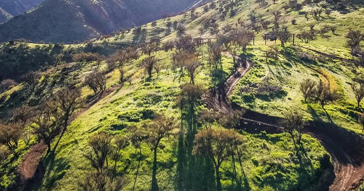 José Tomás Valenzuela sobre el Parque Guay Guay: "Abrimos de sol a sol, 365 días al año (...) los vecinos, antes de ir al colegio o trabajar, van a andar en bicicleta o a caminar"