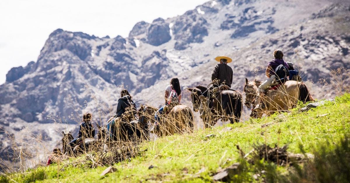 Nicolás Vigil sobre el Parque Yerba Loca: "Estamos muy contentos con este nuevo sendero porque ampliamos la oferta (...) es combinar esta conexión con la naturaleza y desconectarse de la ciudad”