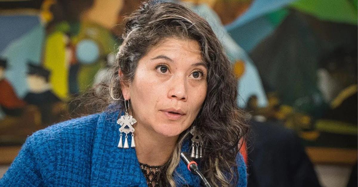 Ericka Ñanco sobre el operativo en Temucuicui: “Nos llama la atención esta forma exagerada de tratar de adjudicarse un procedimiento judicial por parte del Gobierno"