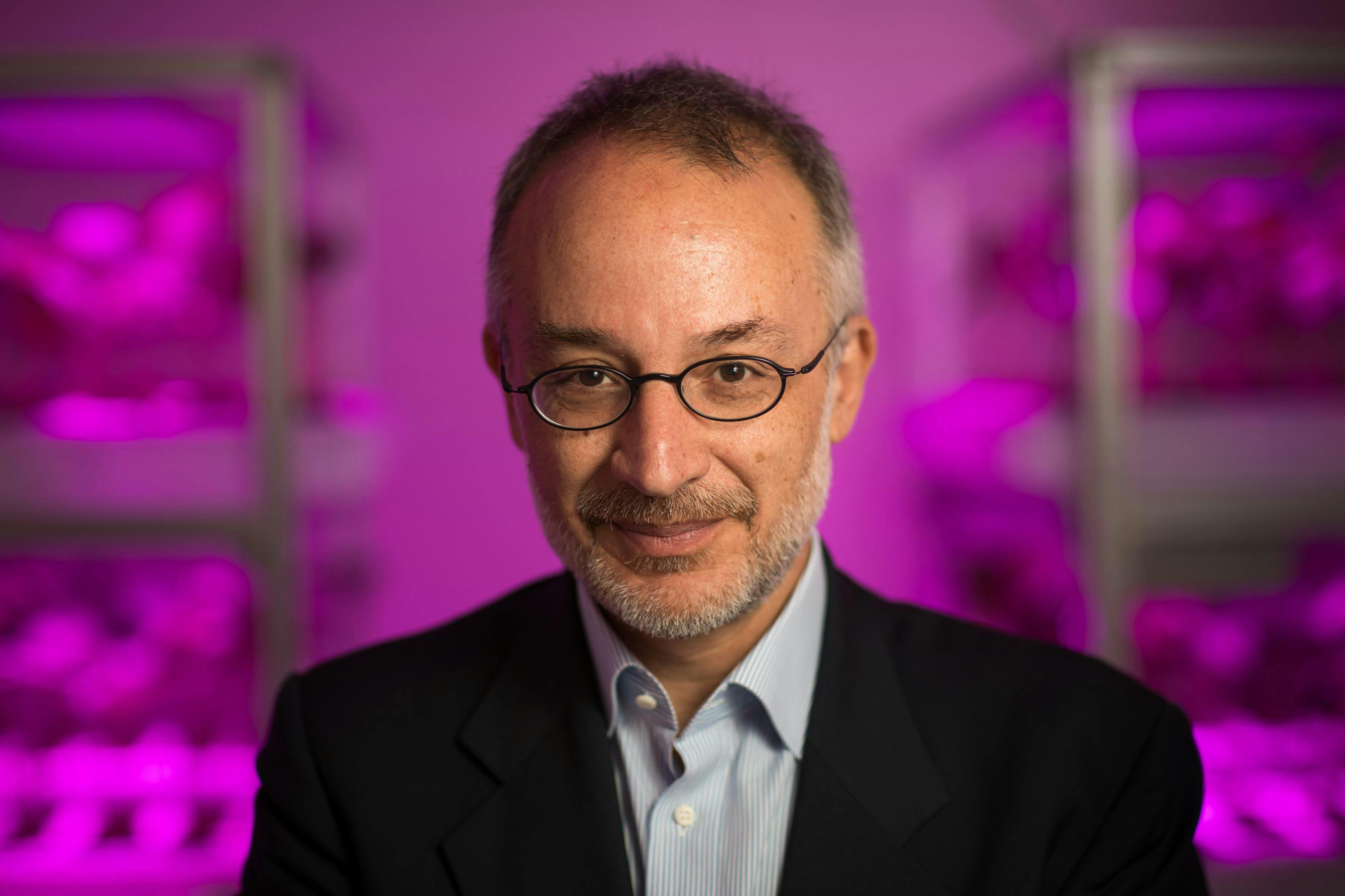 Stefano Mancuso, botánico: "Es imposible imaginar cualquier forma de vida que no sea inteligente"