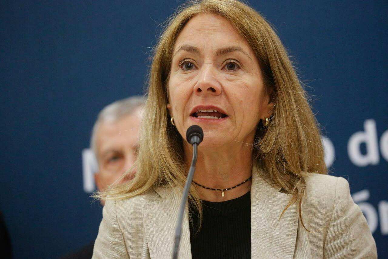 Susana Jiménez sobre las economías ilícitas: "Esto requiere una unidad específica donde se sistematice información"