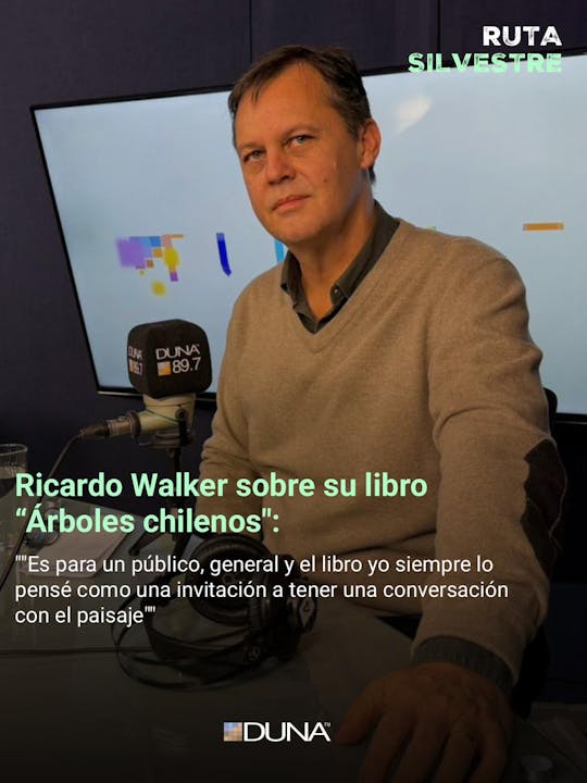 Ricardo Walker sobre su libro “Árboles chilenos": "Es para un público, general y el libro yo siempre lo pensé como una invitación a tener una conversación con el paisaje"