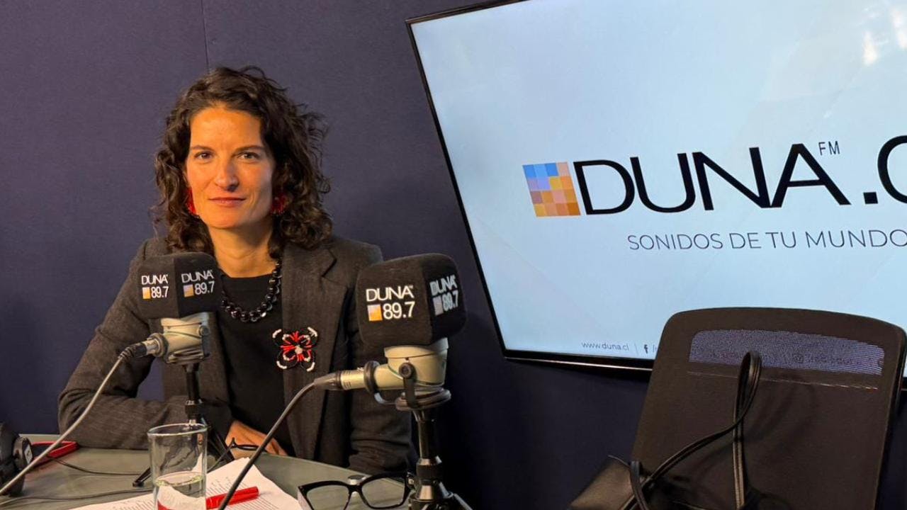 Jeannette Plaut, sobre madera industrializada y su uso: "Creo que Chile posee condiciones excepcionales. Es super conocida la tradición forestal, tanto en las capacidades industriales y crecientes"