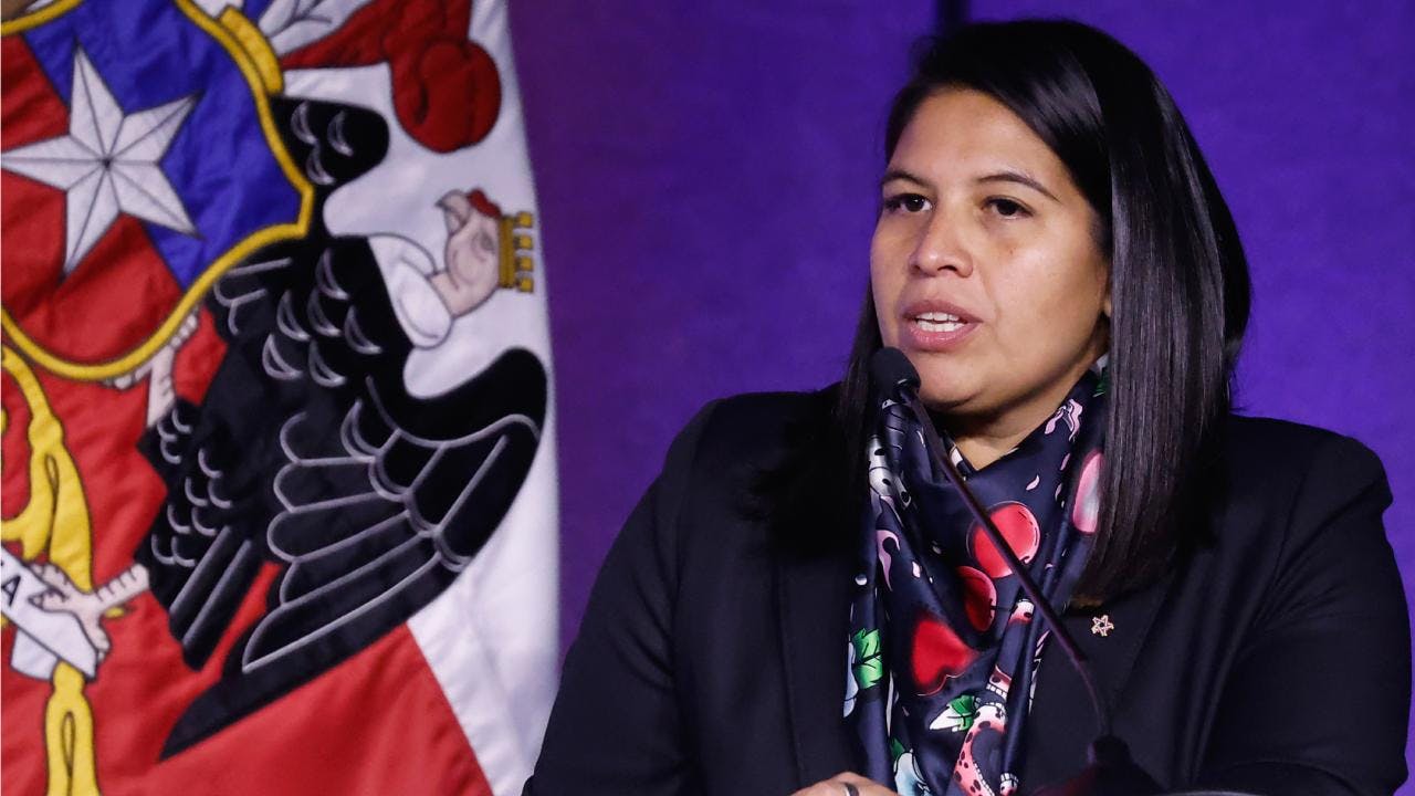 Andrea Balladares y decisión de diputados del PS de ir al TC: "El ánimo de la oposición en la Cámara baja fue obstruccionista. Su estrategia fue un tsunami de indicaciones para trabar la discusión"