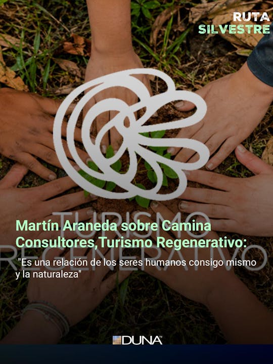 Martín Araneda sobre Camina Consultores, Iniciativa Global de Turismo Regenerativo Virtuoso Chile: "Es una relación de los seres humanos consigo mismo y la naturaleza"