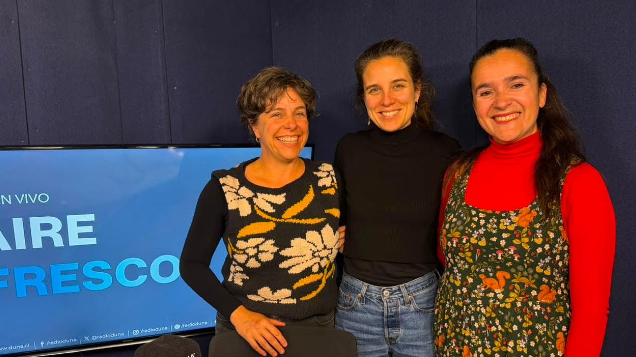 Maya Errázuriz, Nélida Pohl y Catalina Valdés por libro Recolección. Artes en defensa de la naturaleza en Chile: "Parte de la motivación es ir moviendo los activismos"