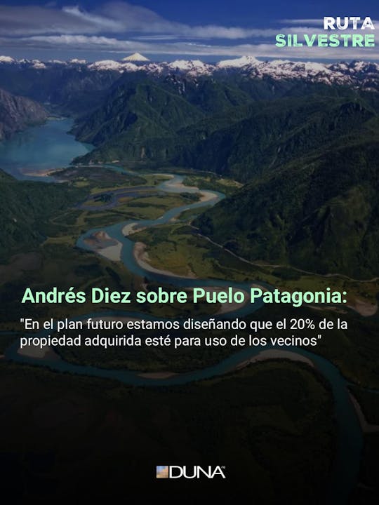 Andrés Diez sobre Puelo Patagonia: "En el plan futuro estamos diseñando que el 20% de la propiedad adquirida esté para uso de los vecinos"