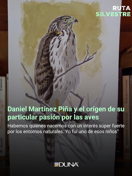 Daniel Martínez por la conservación de los hábitats: "La protección tiene que ir a los ecosistemas"