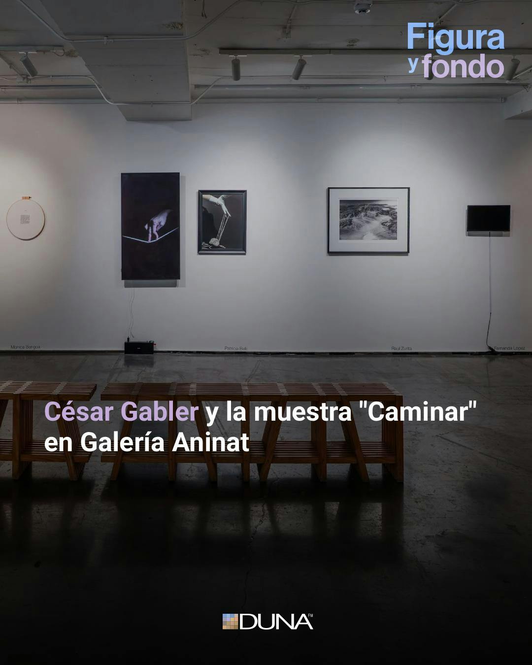 En Figura y Fondo, César Gabler aborda la muestra "Caminar", ubicada en Galería Aninat