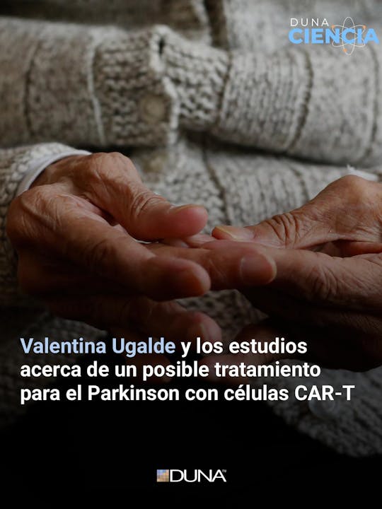 Valentina Ugalde: "Lo que nosotros queremos hacer es programar esas células para que reconozcan a los antígenos que generan la inflamación, para luego apagar y proteger la neuronas."