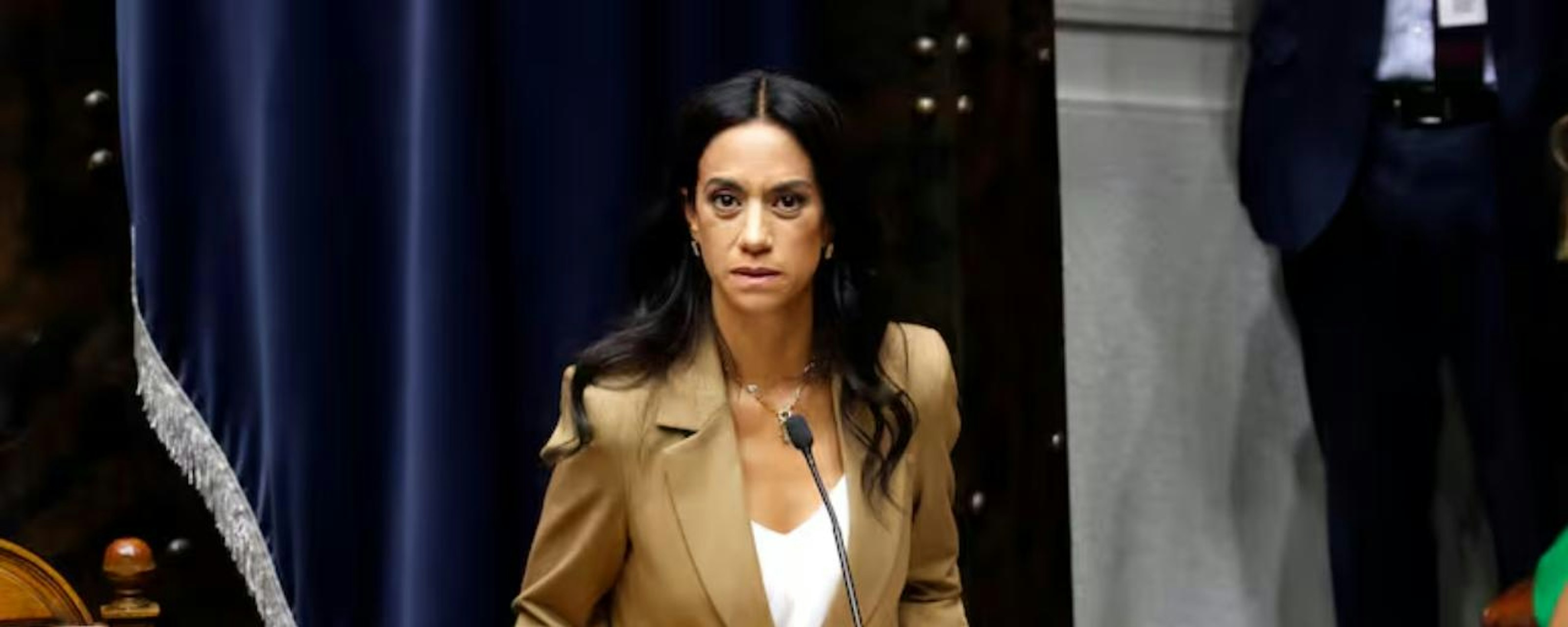 Paulina Núñez: "Veo muchísimos más acuerdos en la agenda legislativa que en la reforma de seguridad"