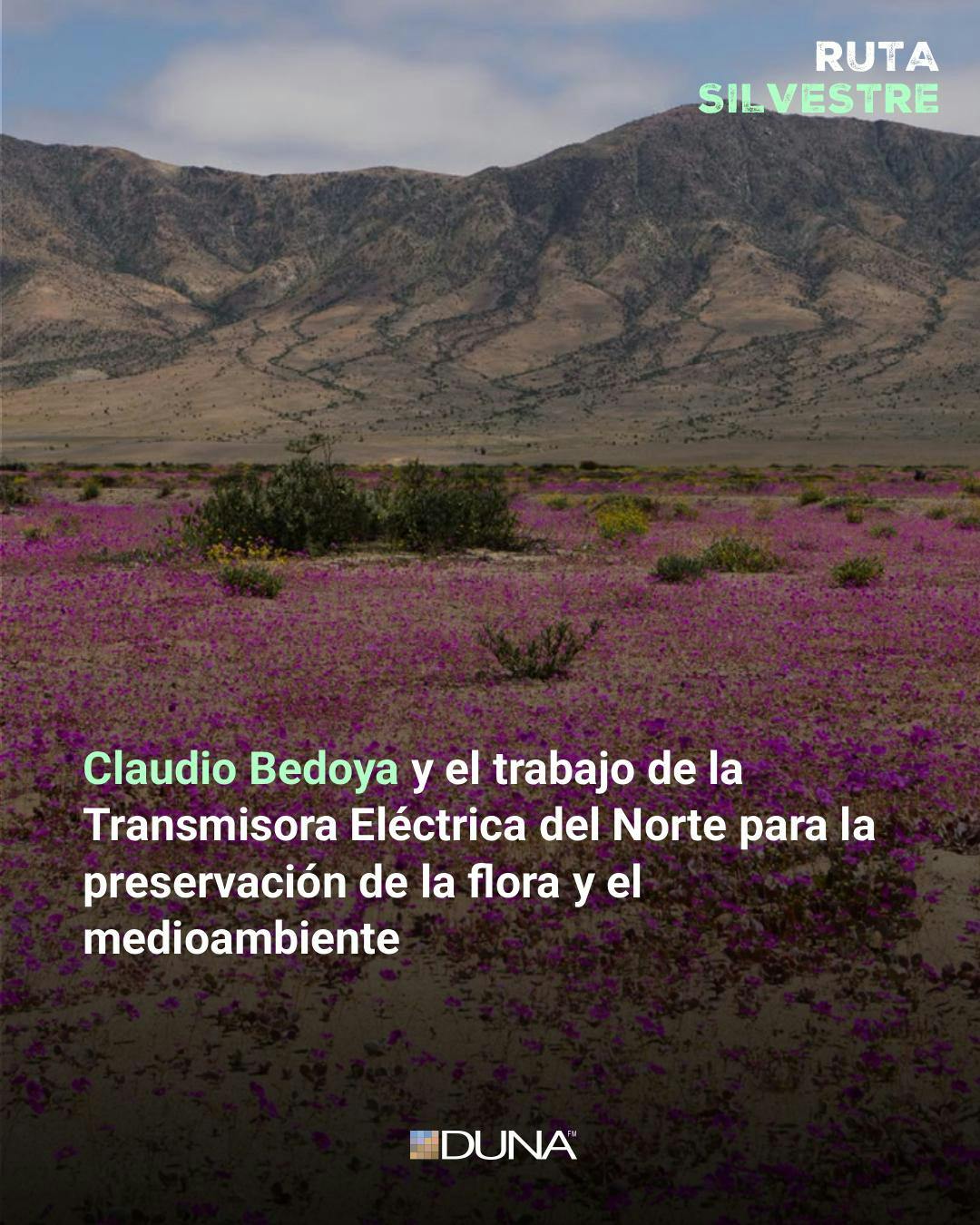 Claudio Bedoya y la labor de la Transmisora Eléctrica del Norte en la preservación de la flora y el medioambiente