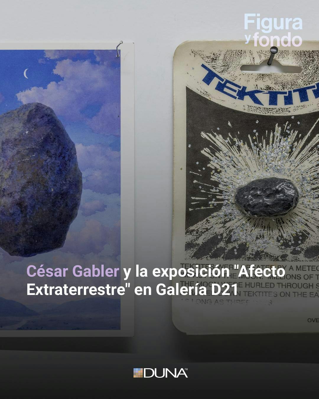 César Gabler aborda la exposición "Afecto Extraterrestre" en Galería D21