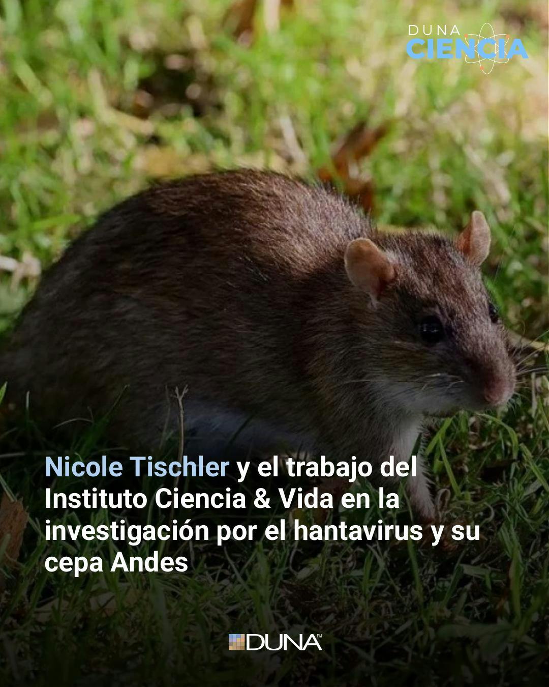 Nicole Tischler: "Internacionalmente, esto fue una alerta tremenda, y generó mucho interés en agencias de financiamiento el desarrollo de vacunas y antivirales"