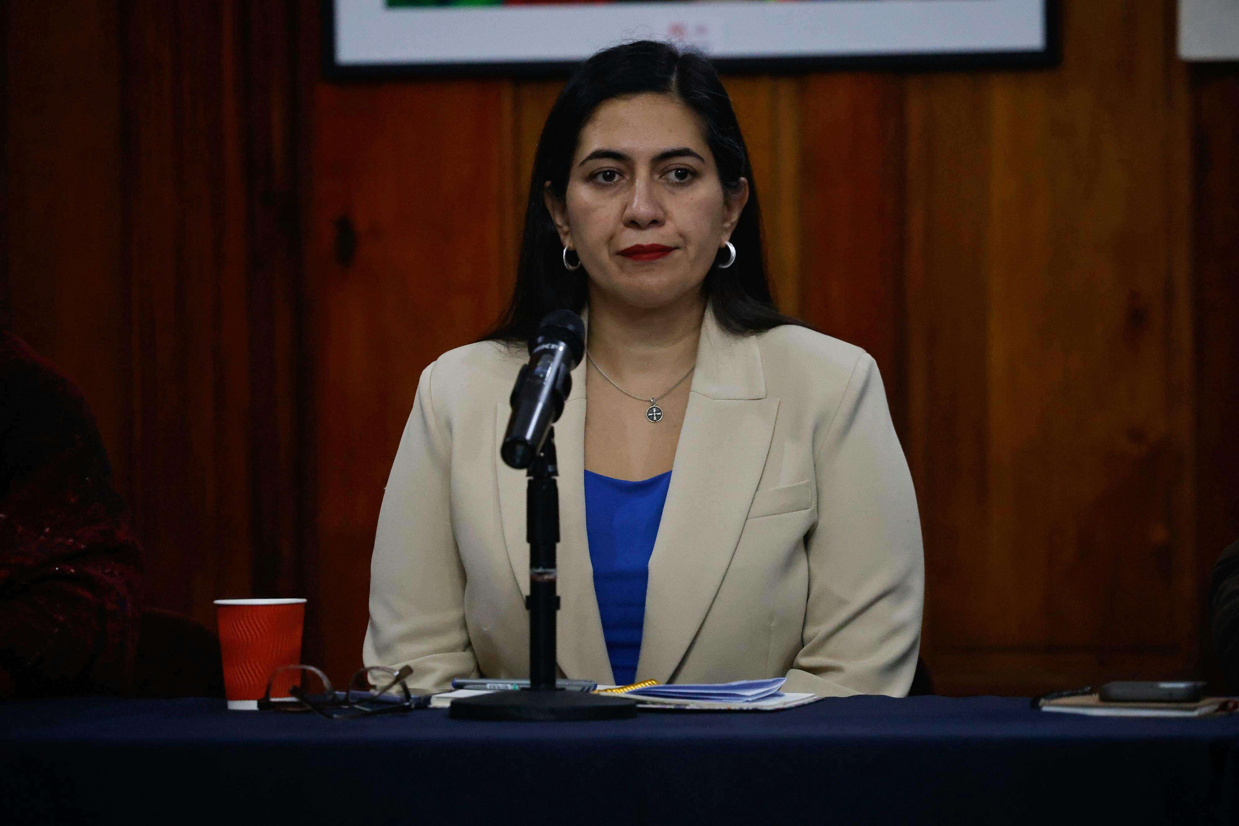 Karina Delfino por reglamento de Ley de Seguridad Municipal: "Lo que tiene que hacer el Gobierno es retirar el reglamento, conversar con los alcaldes, y ahí recién volver a ingresarlo"
