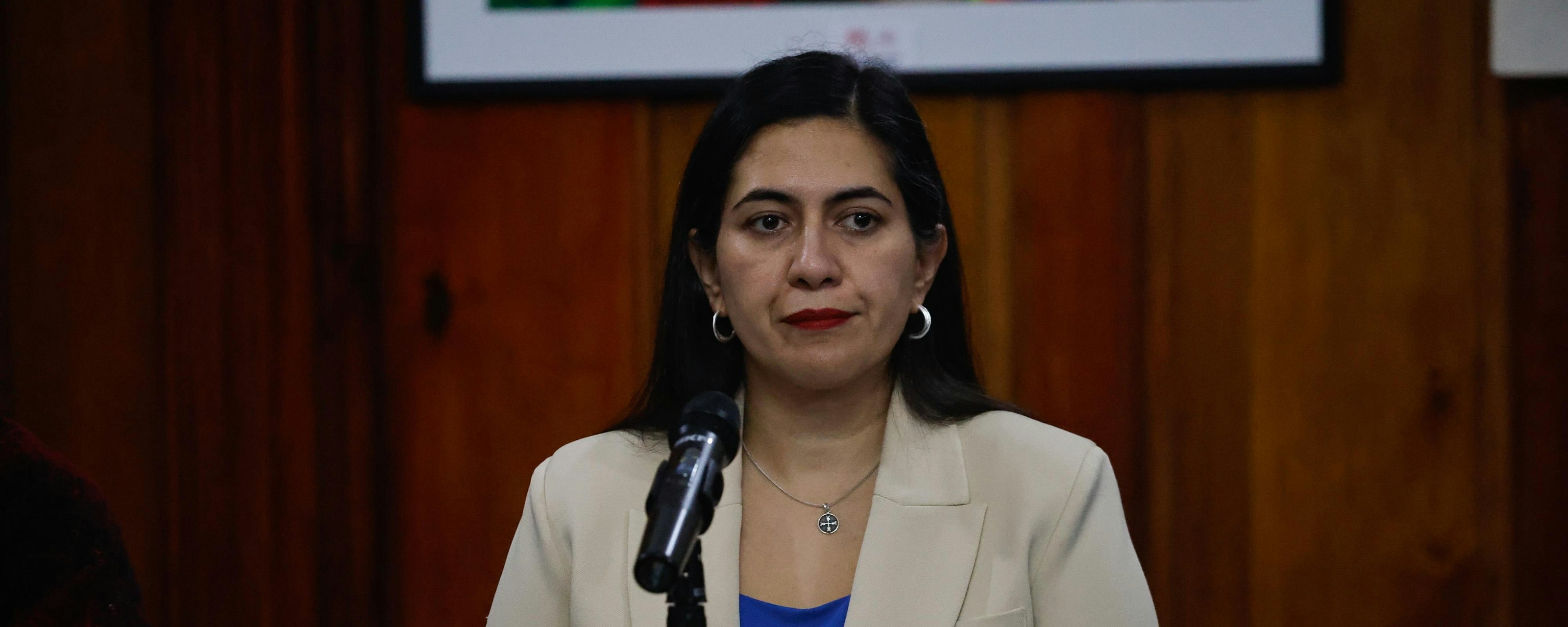 Karina Delfino por reglamento de Ley de Seguridad Municipal: "Lo que tiene que hacer el Gobierno es retirar el reglamento, conversar con los alcaldes, y ahí recién volver a ingresarlo"