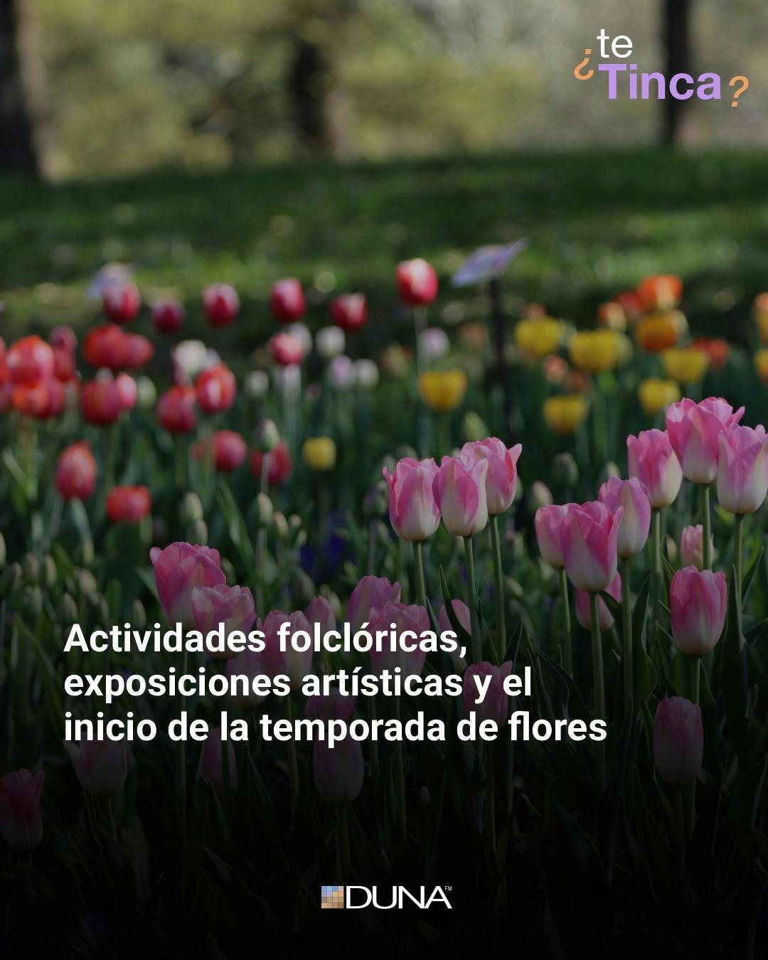 ¿Te tinca?: actividades culturales y familiares para recibir a la primavera