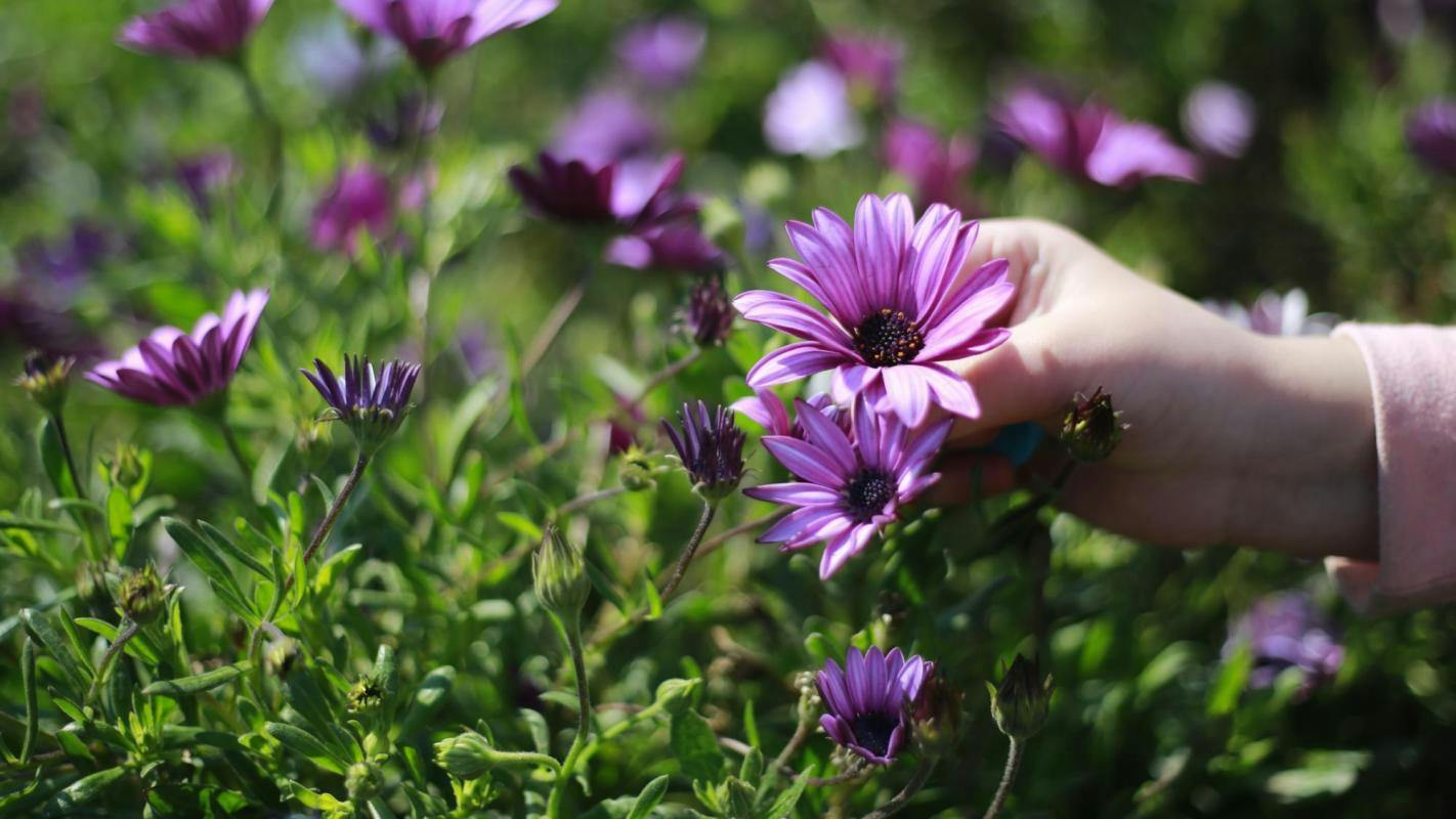 ¿Te tinca?: actividades culturales y familiares para recibir a la primavera