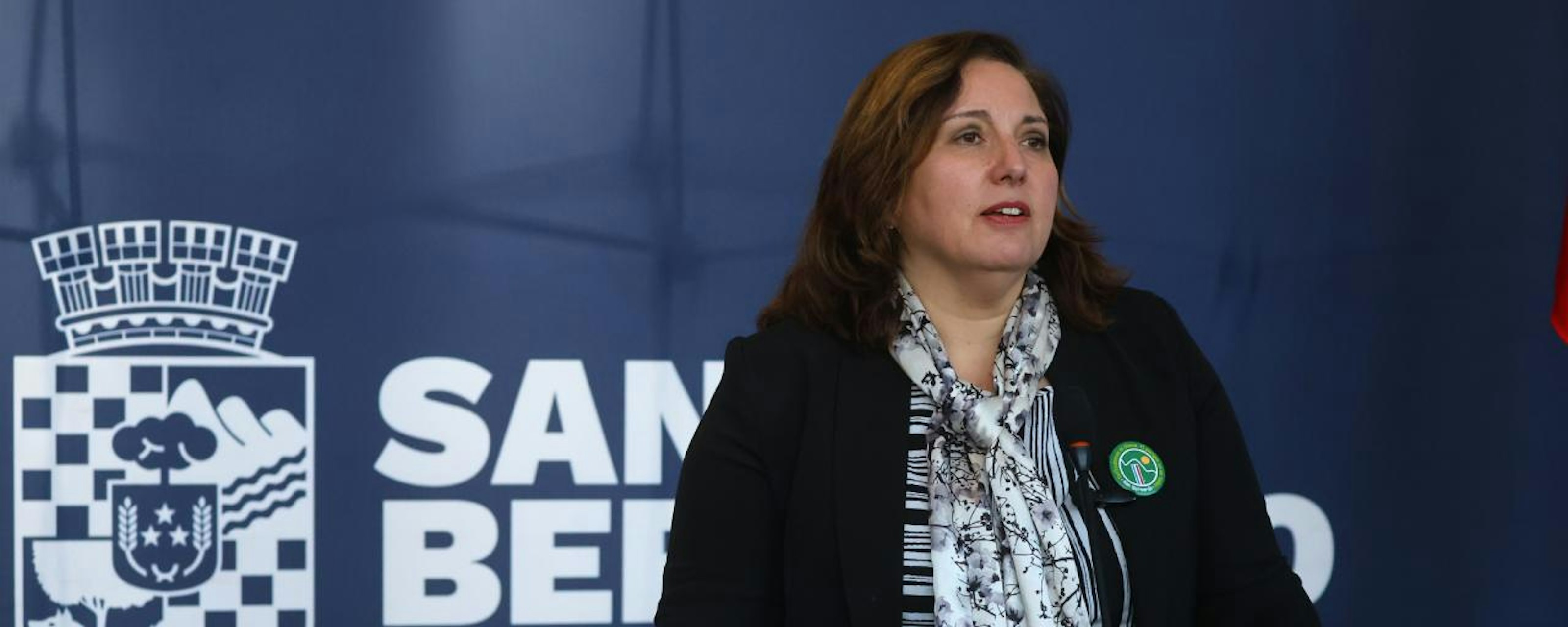 Paulina Vodanovic por propuesta Squella-Longton en seguridad: "No me hicieron partícipe hasta el día de ayer. No están en su derecho en decir estoy de acuerdo"