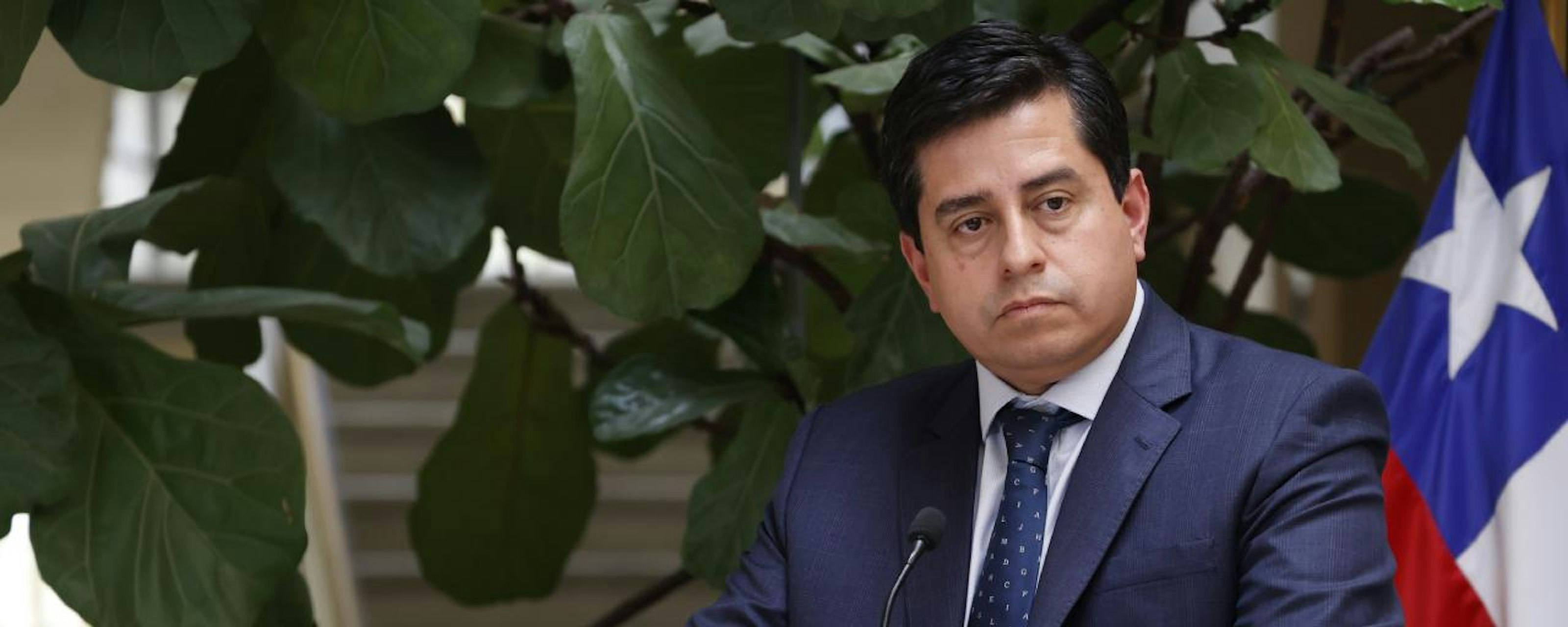 Pedro Araya por dichos de senadora Vodanovic: "No se enteró por la prensa, ella estuvo al tanto de todas las conversaciones. Ese documento le llegó a todos por WhatsApp"