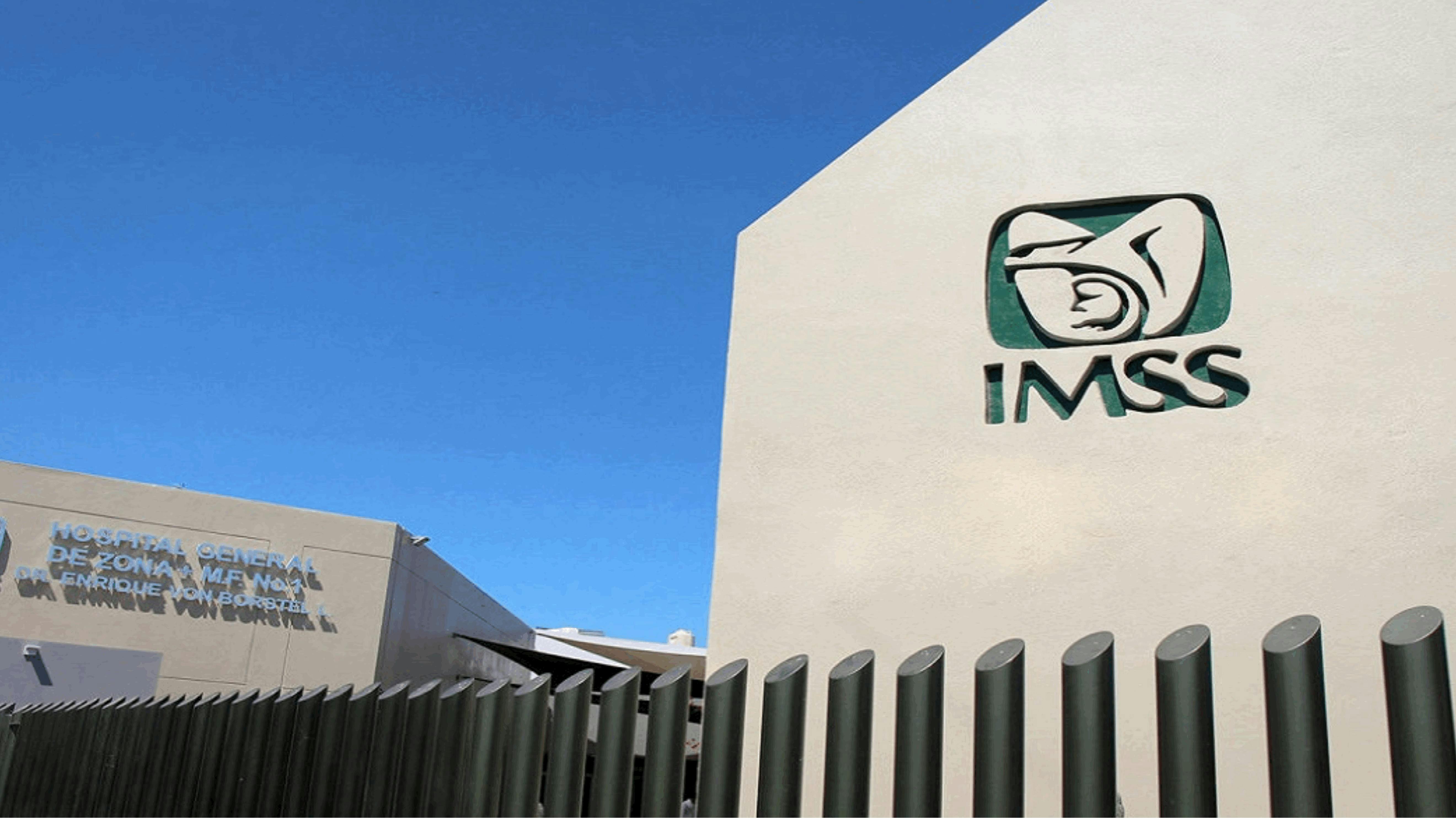 IMSS confirma plaga de pulgas y garrapatas en clínica de Matamoros y la relaciona con mapaches