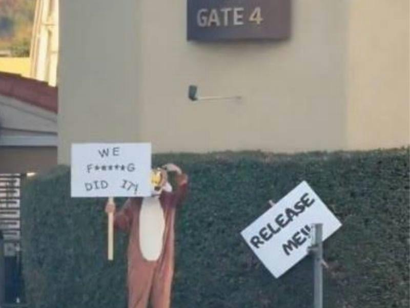 A un año de la protesta viral: El clamor por liberar la cinta 'Coyote vs. Acme' se mantiene vivo en Hollywood