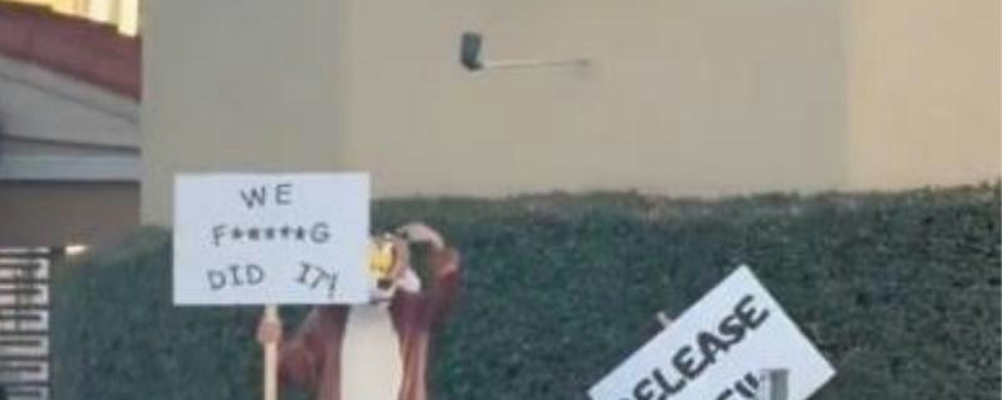 A un año de la protesta viral: El clamor por liberar la cinta 'Coyote vs. Acme' se mantiene vivo en Hollywood