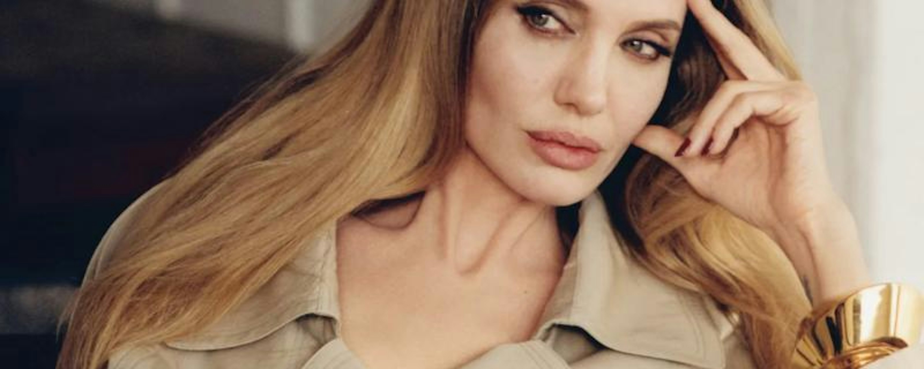 ¡De reina de Hollywood a guerrera de la selva! Angelina Jolie arriesga todo en una feroz cruzada para blindar más de 60 mil hectáreas en Camboya