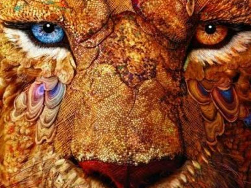 ¡El rugido más audaz de Hollywood! Salen a la luz las primeras imágenes de la nueva ‘Narnia’ y confirman a Meryl Streep como la voz de Aslan