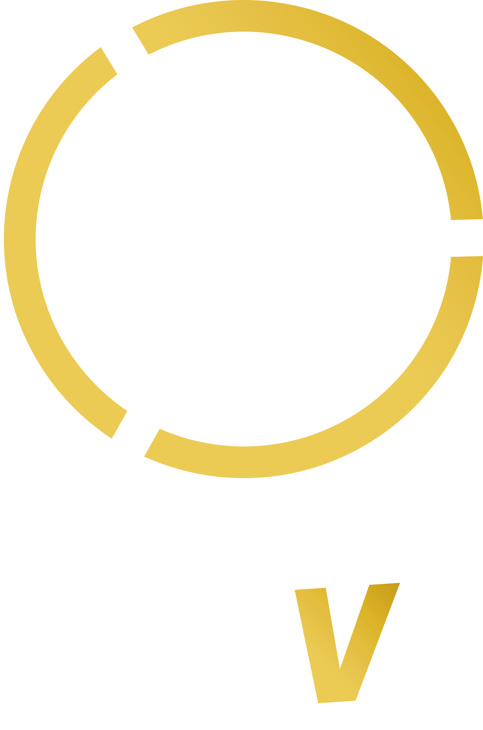 Liga FUTVE Venezuela