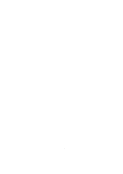 Super Copa Juvenil FCF