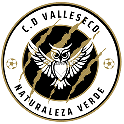 CD Valleseco