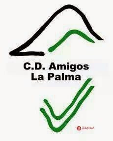 CD Fundación Amigos La Palma