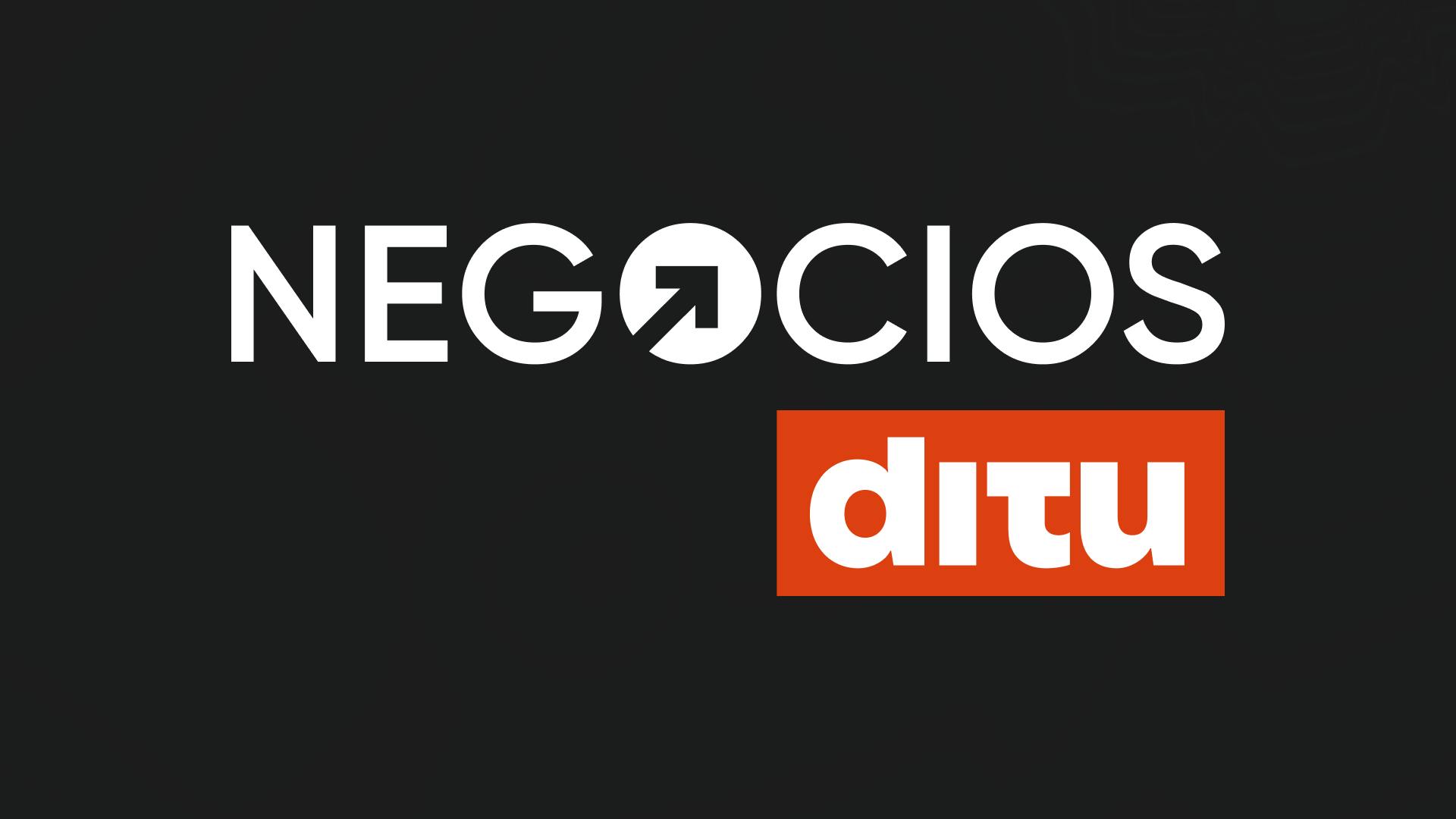 Negocios Ditu