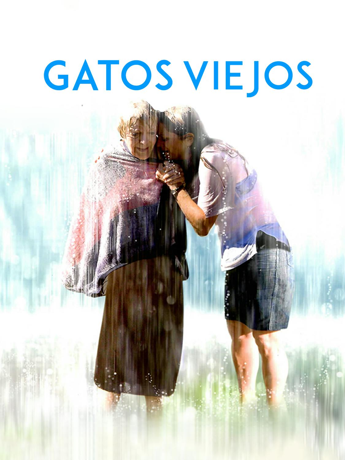 Gatos viejos