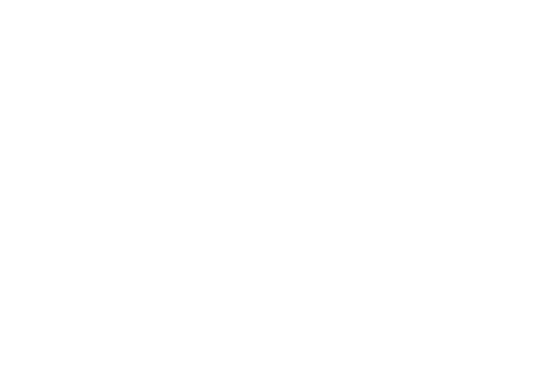 El Rey de los hueones