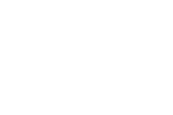 Ensayos y errores