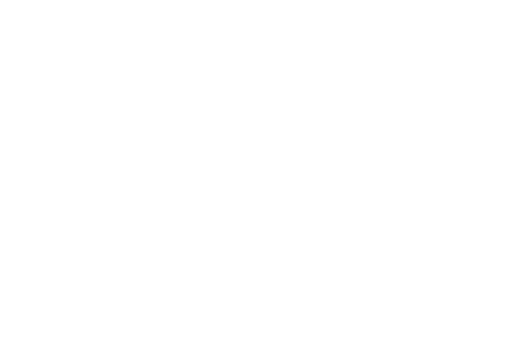 Ensayos y errores