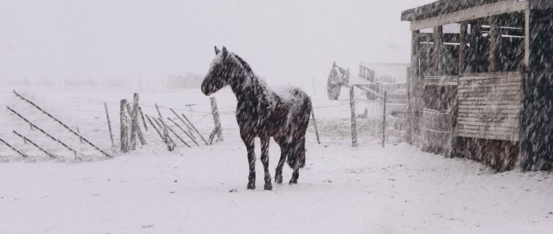Al sur del invierno está la nieve