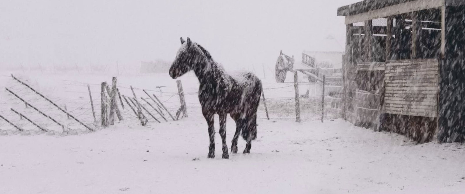 Al sur del invierno está la nieve