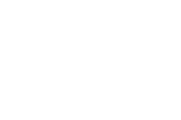Vidas