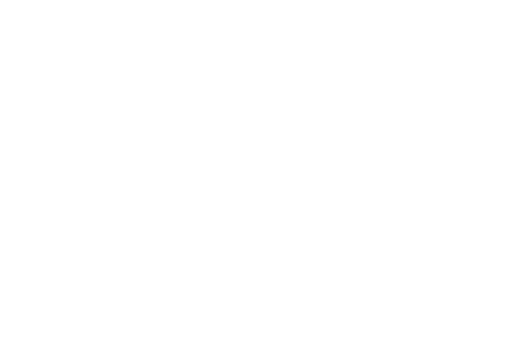 Vidas